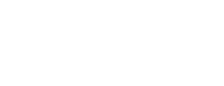 Nital